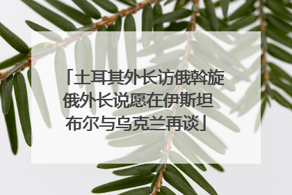 土耳其外长访俄斡旋 俄外长说愿在伊斯坦布尔与乌克兰再谈