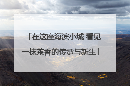 在这座海滨小城 看见一抹茶香的传承与新生