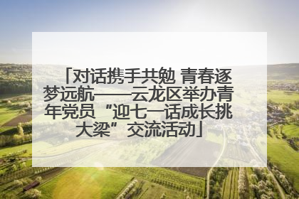 对话携手共勉 青春逐梦远航——云龙区举办青年党员“迎七一话成长挑大梁”交流活动