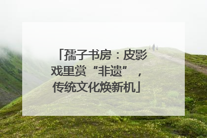 孺子书房：皮影戏里赏“非遗”，传统文化焕新机