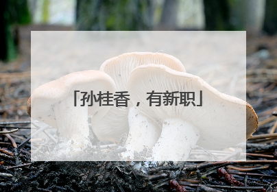 孙桂香，有新职
