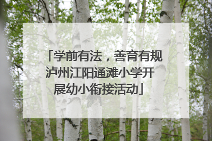 学前有法，善育有规 泸州江阳通滩小学开展幼小衔接活动