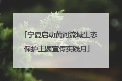 宁夏启动黄河流域生态保护主题宣传实践月