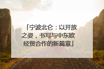 宁波北仑：以开放之姿，书写与中东欧经贸合作的新篇章