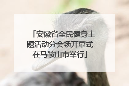 安徽省全民健身主题活动分会场开幕式在马鞍山市举行