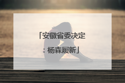 安徽省委决定：杨森履新