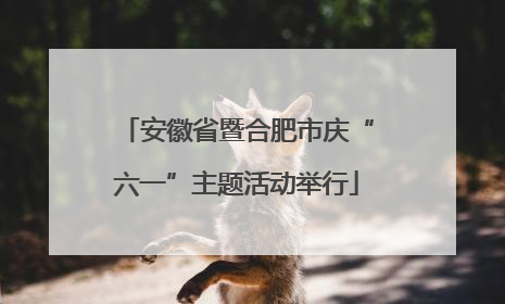 安徽省暨合肥市庆“六一”主题活动举行