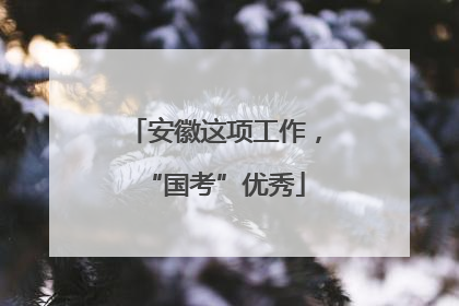 安徽这项工作，“国考”优秀