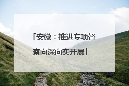 安徽：推进专项督察向深向实开展
