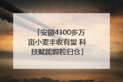 安徽4300多万亩小麦丰收有望 科技赋能颗粒归仓
