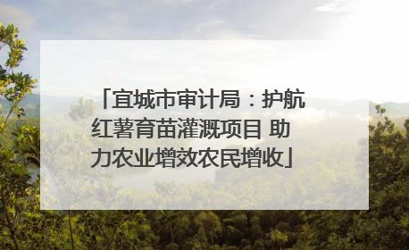 宜城市审计局：护航红薯育苗灌溉项目 助力农业增效农民增收