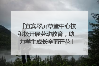 宜宾翠屏草堂中心校积极开展劳动教育，助力学生成长全面开花