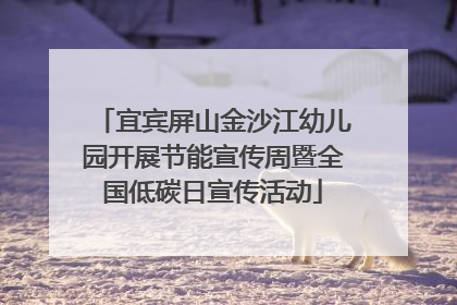 宜宾屏山金沙江幼儿园开展节能宣传周暨全国低碳日宣传活动