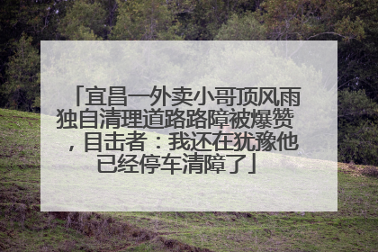 宜昌一外卖小哥顶风雨独自清理道路路障被爆赞，目击者：我还在犹豫他已经停车清障了
