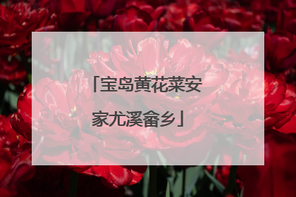 宝岛黄花菜安家尤溪畲乡