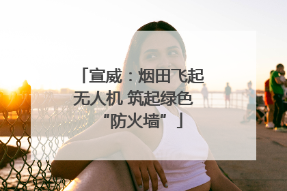 宣威：烟田飞起无人机 筑起绿色“防火墙”