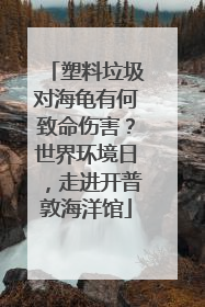 塑料垃圾对海龟有何致命伤害？世界环境日，走进开普敦海洋馆