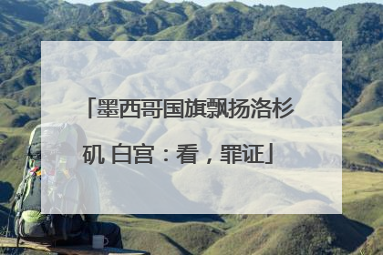 墨西哥国旗飘扬洛杉矶 白宫：看，罪证