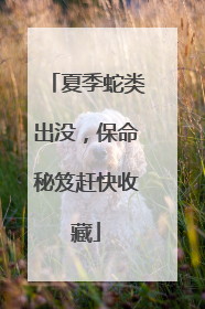 夏季蛇类出没，保命秘笈赶快收藏