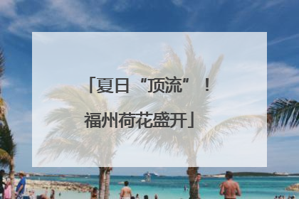 夏日“顶流”！福州荷花盛开