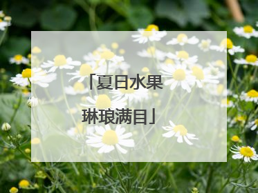 夏日水果 琳琅满目