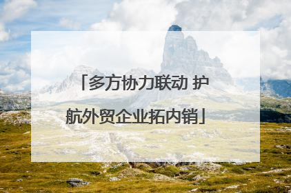 多方协力联动 护航外贸企业拓内销