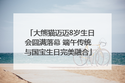 大熊猫迈迈8岁生日会圆满落幕 端午传统与国宝生日完美融合