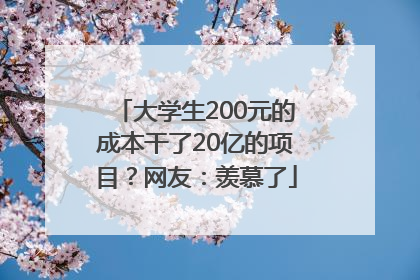 大学生200元的成本干了20亿的项目？网友：羡慕了