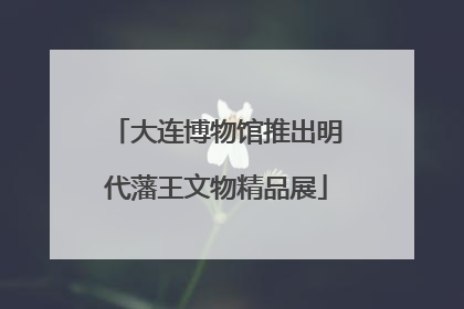 大连博物馆推出明代藩王文物精品展