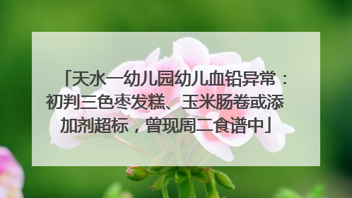 天水一幼儿园幼儿血铅异常：初判三色枣发糕、玉米肠卷或添加剂超标，曾现周二食谱中