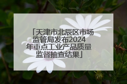 天津市北辰区市场监管局发布2024年重点工业产品质量监督抽查结果
