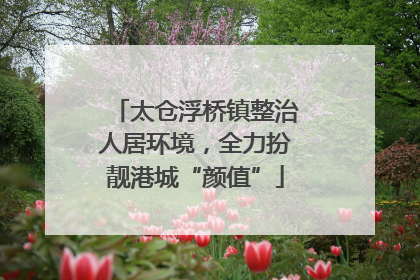 太仓浮桥镇整治人居环境，全力扮靓港城“颜值”