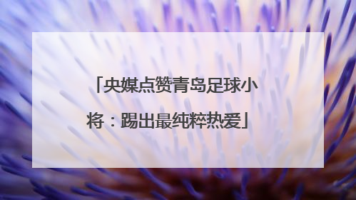 央媒点赞青岛足球小将：踢出最纯粹热爱
