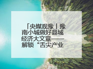 央媒观豫丨豫南小城做好县域经济大文章——解锁“舌尖产业”的创新密码
