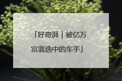 好奇湃｜被亿万富翁选中的车手