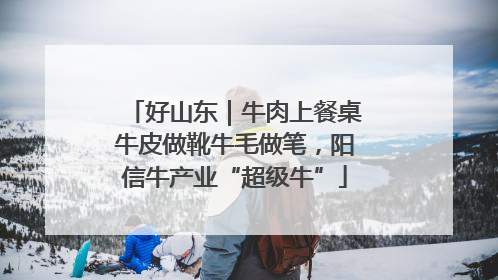 好山东｜牛肉上餐桌牛皮做靴牛毛做笔，阳信牛产业“超级牛”