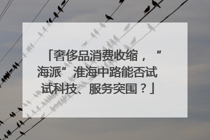 奢侈品消费收缩，“海派”淮海中路能否试试科技、服务突围？