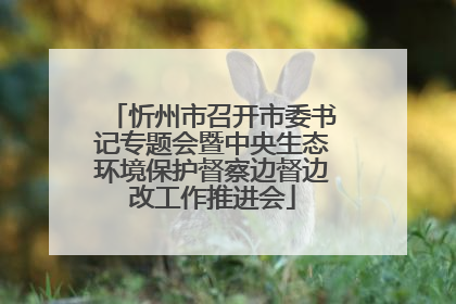 忻州市召开市委书记专题会暨中央生态环境保护督察边督边改工作推进会