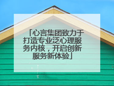 心言集团致力于打造专业泛心理服务内核，开启创新服务新体验