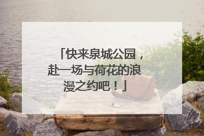 快来泉城公园，赴一场与荷花的浪漫之约吧！