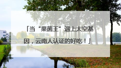 当“果菌王”遇上太空基因，云南人认证的好吃！