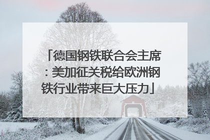 德国钢铁联合会主席：美加征关税给欧洲钢铁行业带来巨大压力