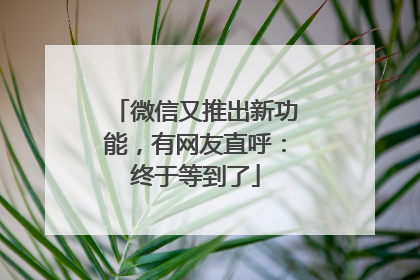 微信又推出新功能，有网友直呼：终于等到了