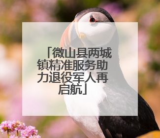 微山县两城镇精准服务助力退役军人再启航