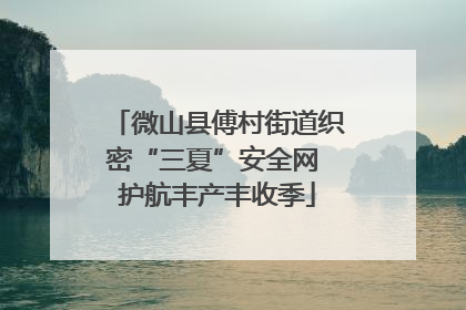 微山县傅村街道织密“三夏”安全网 护航丰产丰收季