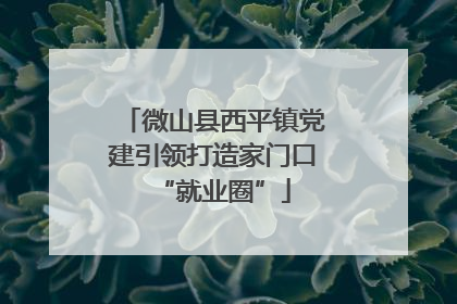 微山县西平镇党建引领打造家门口“就业圈”
