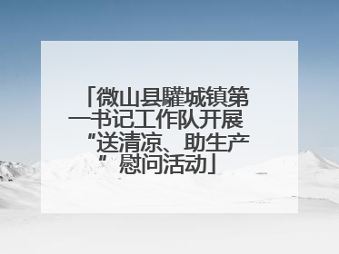 微山县驩城镇第一书记工作队开展“送清凉、助生产”慰问活动