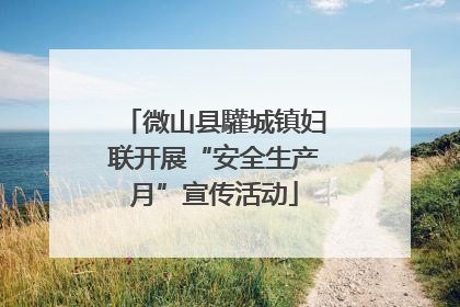 微山县驩城镇妇联开展“安全生产月”宣传活动
