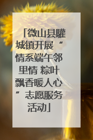 微山县驩城镇开展“情系端午邻里情 粽叶飘香暖人心”志愿服务活动