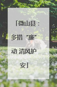 微山县：多措“廉”动 清风护安